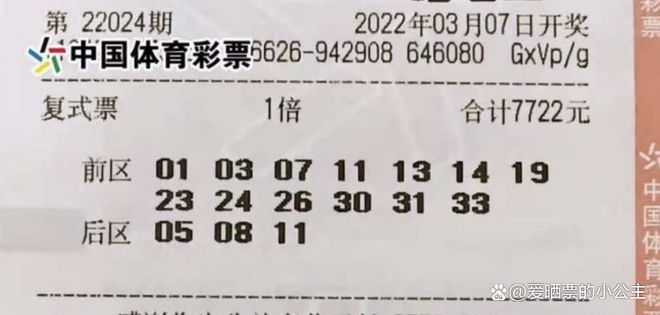 新澳2025年天天開好彩大樂透，夢想與希望的力量，新澳2025年天天開好彩大樂透，夢想與希望的力量驅(qū)動未來
