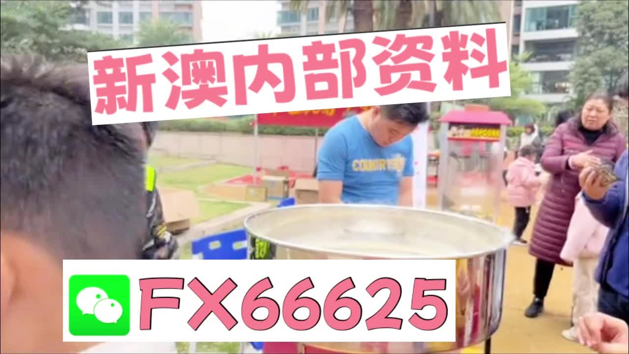 新澳天天彩資料大全最新版本陽肖，全面解析與SEO優(yōu)化策略，新澳天天彩資料大全最新版本陽肖，全面解析及SEO優(yōu)化策略指南
