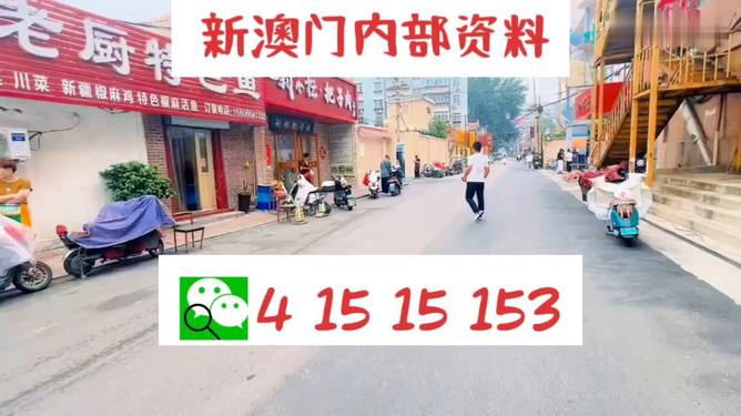 探索澳門博彩文化，2025年新澳門天天開(kāi)好彩的期待與展望，澳門博彩文化深度探索，展望2025年天天彩運(yùn)盛景