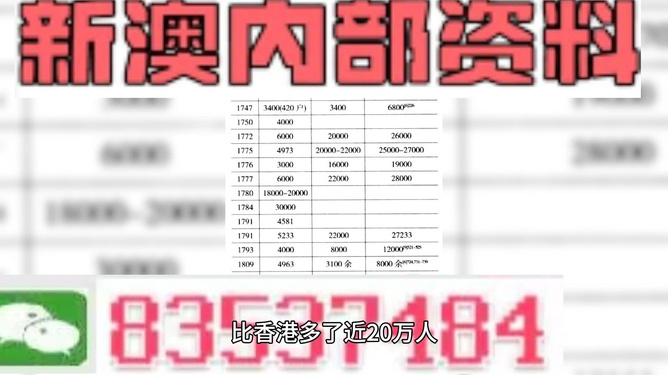 2025年展望（未來機(jī)遇與挑戰(zhàn)）