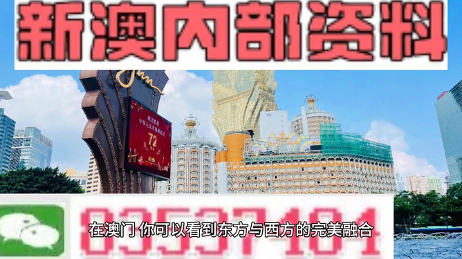 新澳2025年最新版資料詳解，新澳2025年最新版資料全面解析