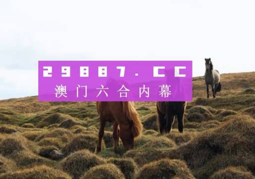 SEO策略解讀