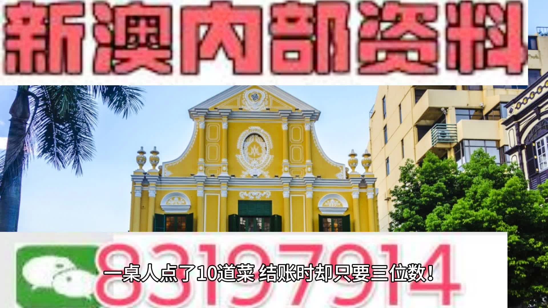 新澳天天開(kāi)獎(jiǎng)資料大全第262期詳解，新澳天天開(kāi)獎(jiǎng)資料第262期詳解概覽