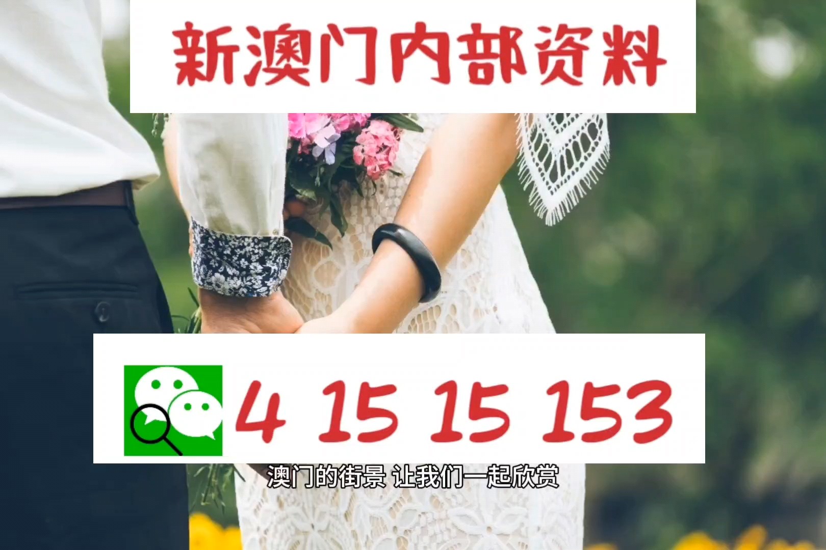 新澳2025最新資料一點(diǎn)紅，深度解析與前瞻性觀察，新澳2025最新資料一點(diǎn)紅，深度解析及前瞻性觀察報(bào)告