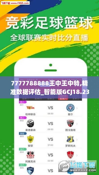 王中王72396.cσm與精選16碼一，深度解析與查詢指南，王中王72396.cσm與精選16碼深度解析與查詢指南大全