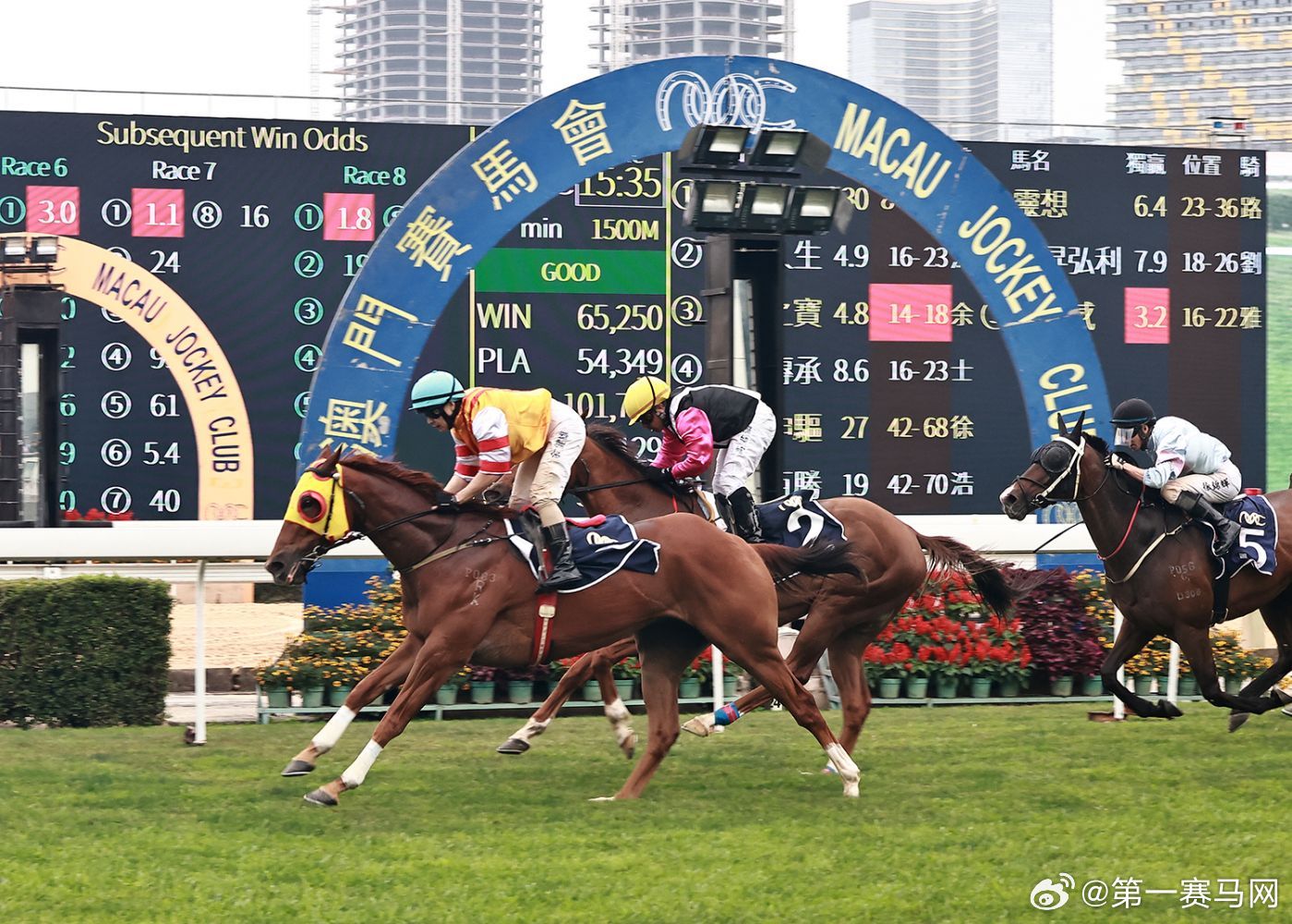 澳門特馬今晚預(yù)告，探索2024年的無限可能，澳門特馬預(yù)告揭秘，探索未來2024年無限可能