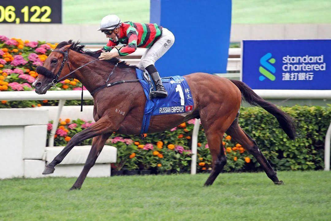 香港賽馬，探索賽馬運(yùn)動(dòng)的激情與榮耀之地 7777788888，香港賽馬，激情與榮耀的賽馬運(yùn)動(dòng)探索地