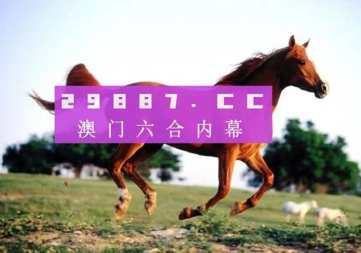 澳門一肖一碼一待一中資料，深度解析與探索，澳門一肖一碼深度解析與探索揭秘資料