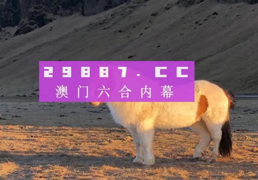 澳門天天空彩官網(wǎng)資料，探索彩票的奧秘與樂趣，澳門天天空彩官網(wǎng)資料，探索彩票世界的奧秘與樂趣