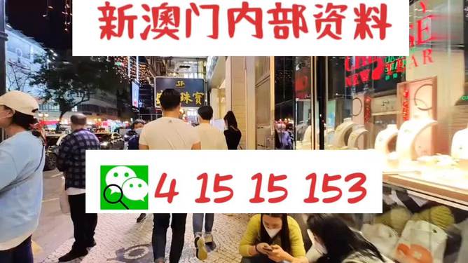 新澳內(nèi)部免費(fèi)爆料，深度探索未知的秘密，新澳內(nèi)部揭秘，深度探索未知的秘密