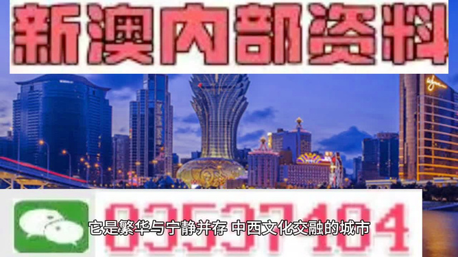 新澳門天天開獎資料大全，探索彩票世界的秘密，澳門彩票開獎資料大全，揭秘彩票世界的奧秘