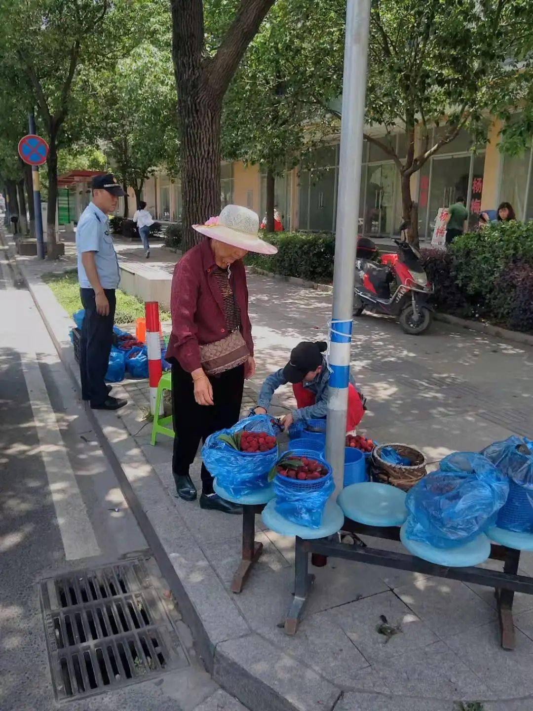 揭秘狀元背后的秘密，如何成為4887狀元之路，揭秘狀元之路，如何成為頂尖學(xué)霸的狀元秘密