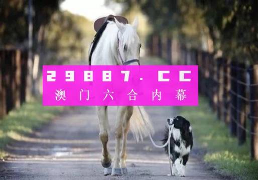 澳門彩之www.04812com探索與體驗，澳門彩之www.04812com，探索與沉浸式體驗