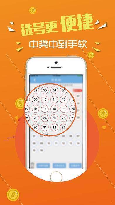 探索72396王中王網(wǎng)站，SEO深度解析與用戶體驗(yàn)優(yōu)化，72396王中王網(wǎng)站探索，SEO深度解析與用戶體驗(yàn)優(yōu)化策略