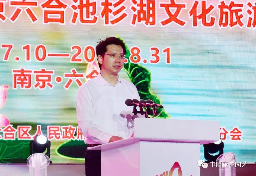 澳門六和開獎結(jié)果2023年今晚開獎，全面解析與預(yù)測，澳門六和2023年今晚開獎結(jié)果解析與預(yù)測