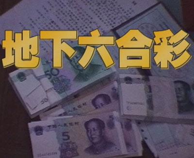 揭秘王中王一碼一肖期期準(zhǔn)的奧秘，揭秘王中王預(yù)測一碼一肖期期準(zhǔn)的神秘面紗