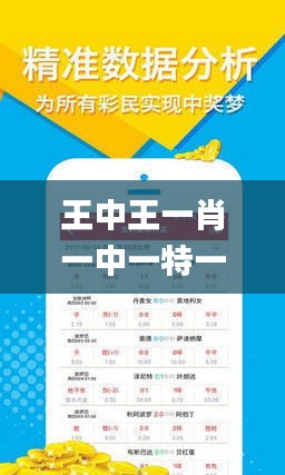 王中王一肖一馬期期中中，深度解讀與SEO策略，王中王一肖一馬期期中深度解讀與SEO策略探討