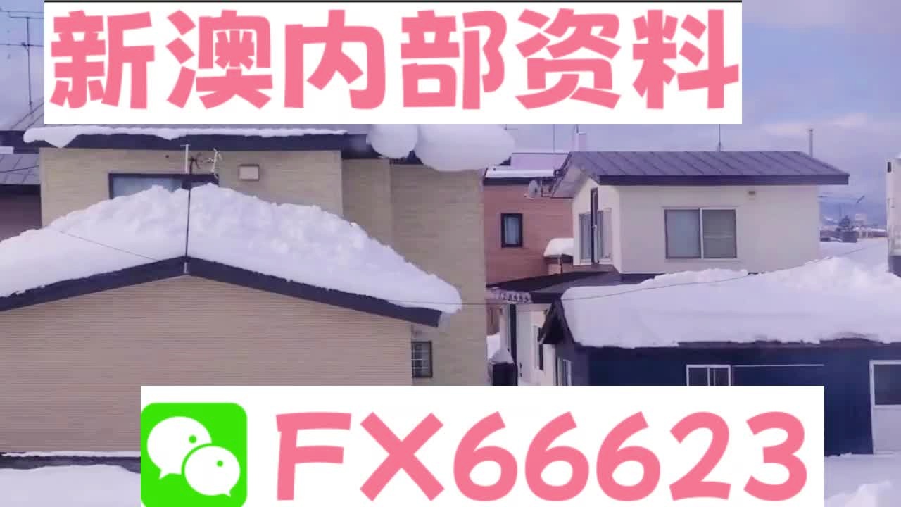 新奧天天精準資料大全，全方位解讀與SEO優(yōu)化策略，新奧天天精準資料大全，全方位解讀與SEO優(yōu)化策略指南