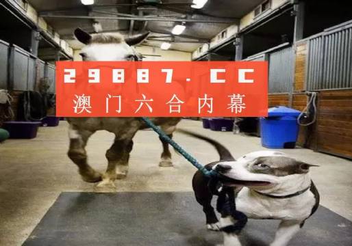 澳門一肖一碼一必中一肖，同舟前進(jìn)的奧秘與策略，澳門一肖一碼必中策略與前進(jìn)奧秘，同舟共濟(jì)的揭秘與策略