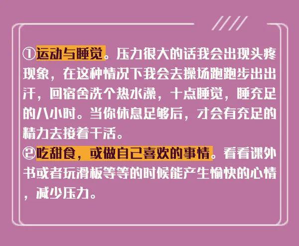 新澳內(nèi)部猛料揭秘，深度探索與獨特洞察，新澳內(nèi)部揭秘，深度探索與獨特洞察之旅