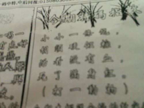 揭秘劉伯溫今晚預測生肖的神秘面紗——探尋生肖預測背后的故事，揭秘劉伯溫生肖預測之謎，探尋今晚生肖預測背后的故事