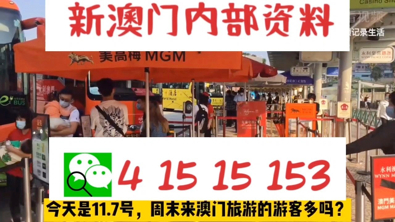 新澳門精準(zhǔn)三肖三碼中特，探索與解析，澳門精準(zhǔn)三肖三碼中特解析與探索