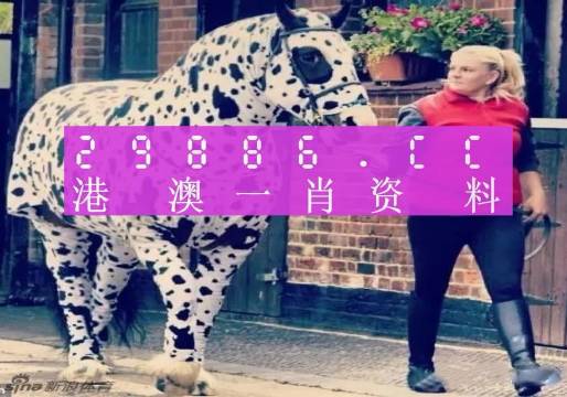 王中王一肖一特一中一，探尋獨特魅力與卓越之路，探尋獨特魅力與卓越之路——王中王一肖一特一中的獨特風采與卓越追求之路