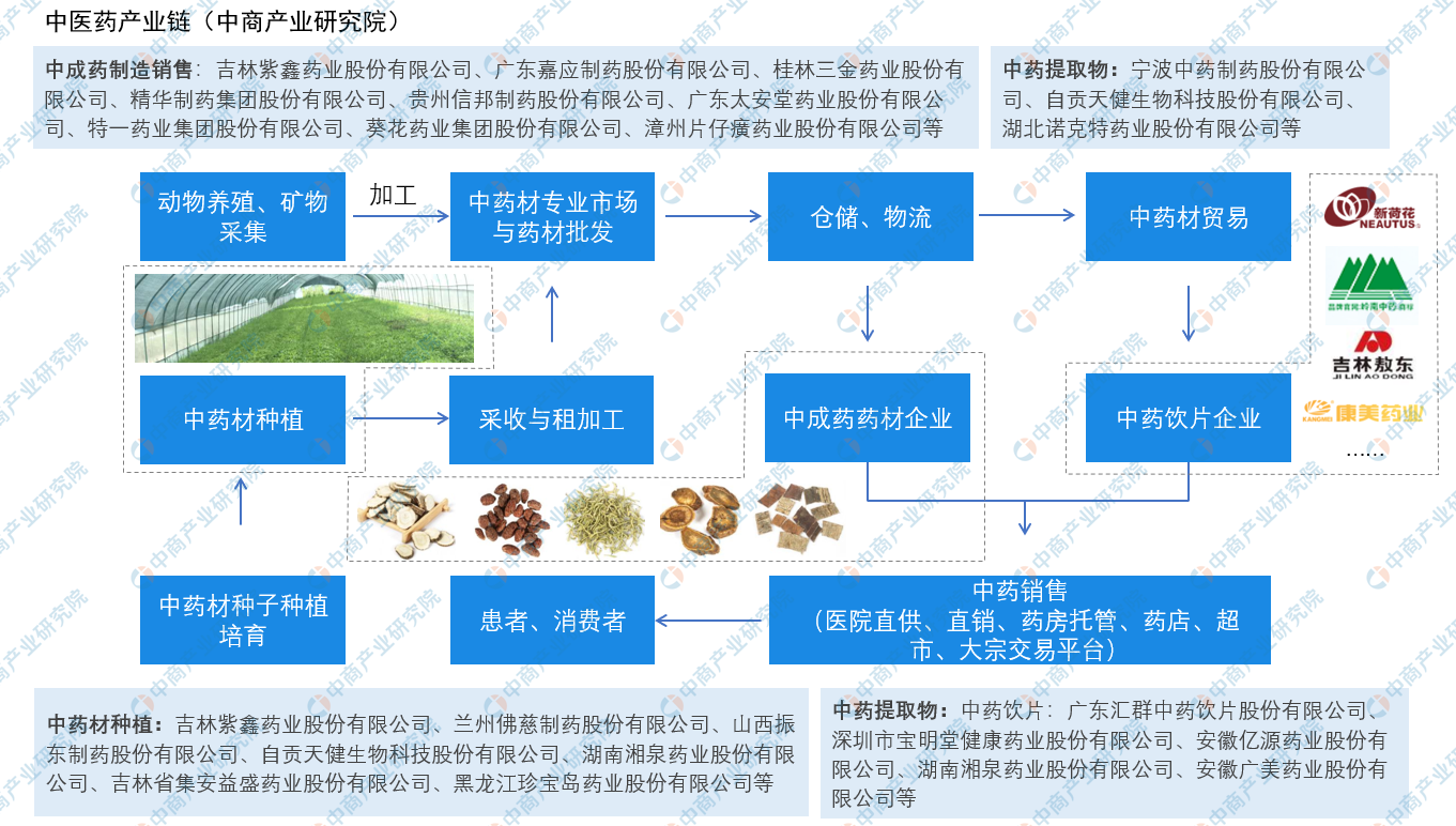 新澳門出彩生肖走勢圖，深度解析與預測，新澳門出彩生肖走勢圖深度解析及預測報告