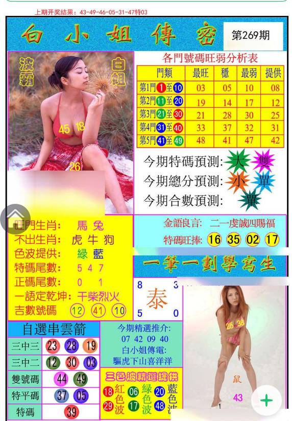 白小姐王中王平持一肖，揭秘背后的秘密與策略，揭秘白小姐王中王平持一肖背后的秘密與策略之道
