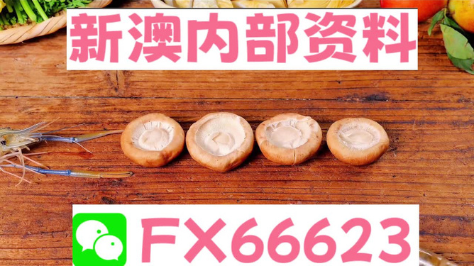 新澳正版資料免費提供，全面解析與深度探索，新澳正版資料全面解析與深度探索，免費提供的指南