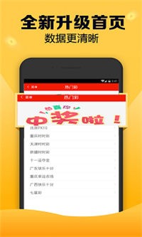 揭秘劉伯溫四肖一碼圖的神秘面紗，劉伯溫四肖一碼圖的神秘面紗揭秘