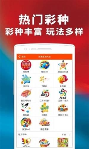 二肖一碼，揭秘背后的秘密與探索其獨特魅力，揭秘二肖一碼背后的秘密與獨特魅力探索