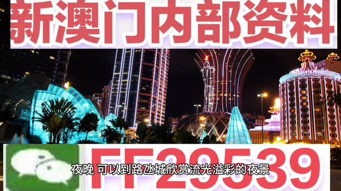 澳門今晚必開一肖一深度解析與預測，澳門今晚必開一肖深度解析與預測