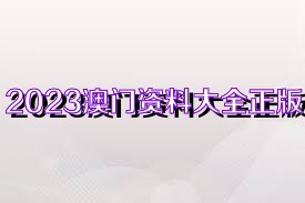 澳門資料大全正版 2025年概覽，澳門正版資料大全，2025年展望