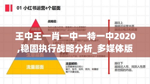 王中王一肖一中一特一中2025，未來趨勢與探索，王中王一肖一中一特一中2025，未來趨勢深度探索與前瞻