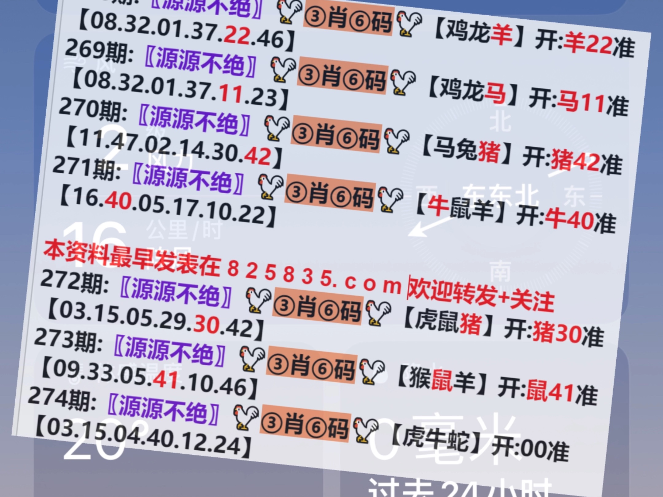 澳門一肖一碼開獎結果，揭秘彩票背后的秘密，澳門彩票開獎結果揭秘，一肖一碼背后的秘密
