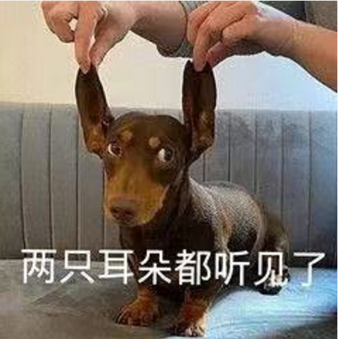 王中王四不象一肖圖必中——揭秘彩票背后的秘密，揭秘彩票秘密，王中王四不象一肖圖必中真相解析