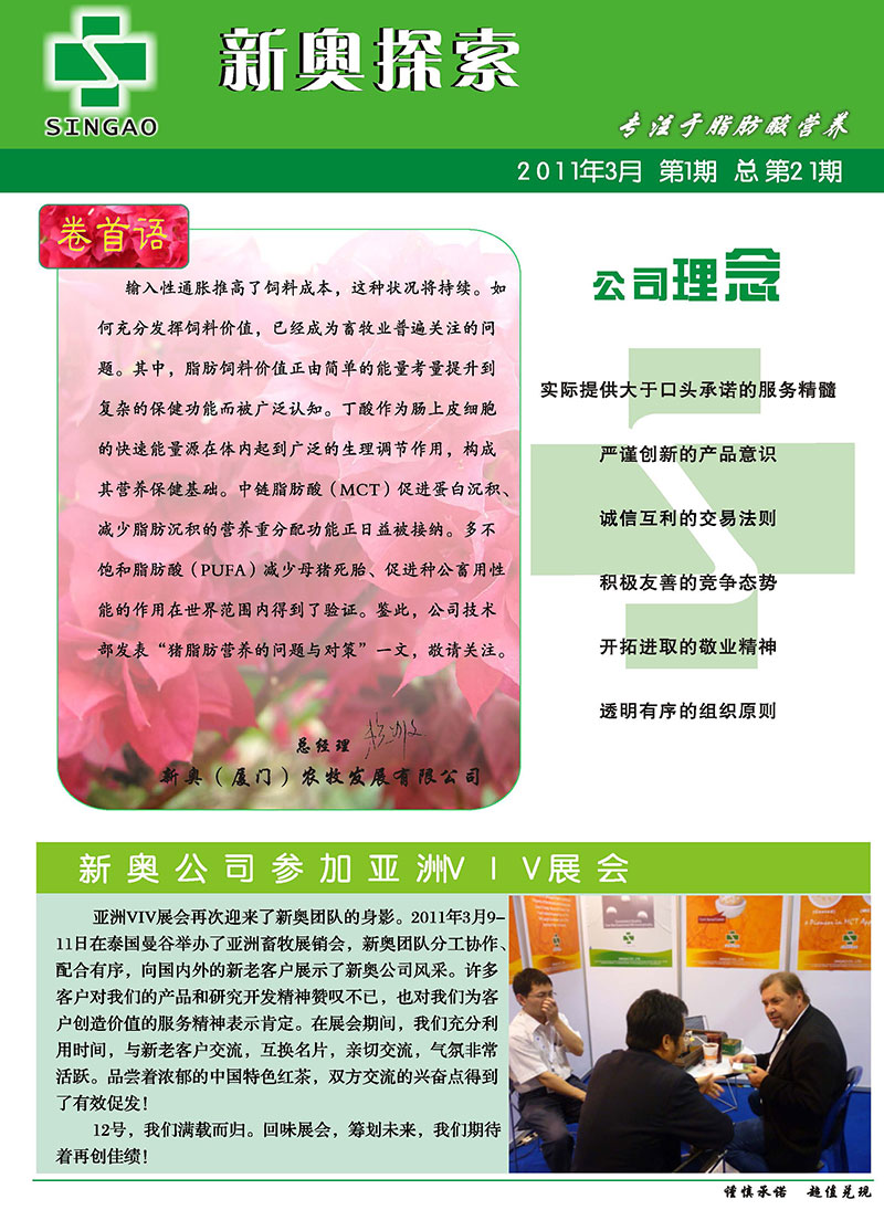 2025新澳正版資料精準(zhǔn)解析，2025新澳正版資料精準(zhǔn)解析手冊