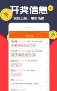 王中王一碼與肖，探尋背后的故事與奧秘，王中王一碼與肖，背后的故事與奧秘探尋