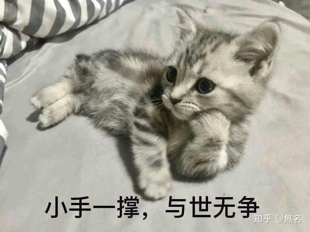 揭秘劉伯溫四不像彩圖一肖的神秘面紗，劉伯溫四不像彩圖一肖神秘面紗揭秘