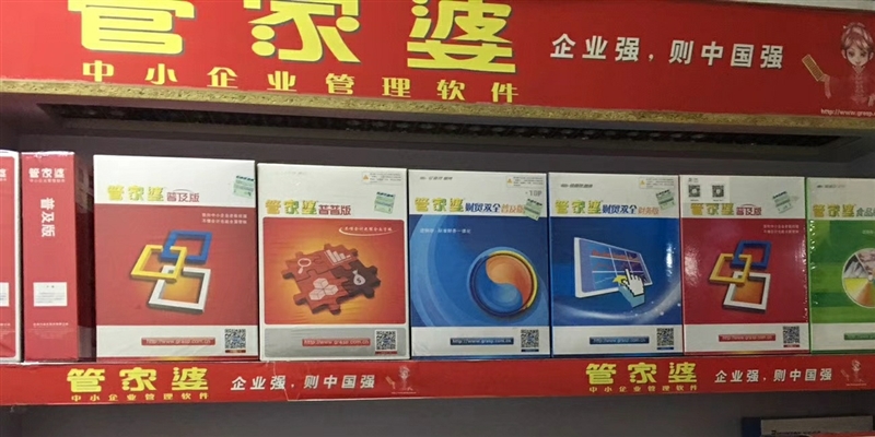 正版管家婆軟件，專業(yè)、高效、可靠的管家工具，正版管家婆軟件，專業(yè)可靠的高效管家工具