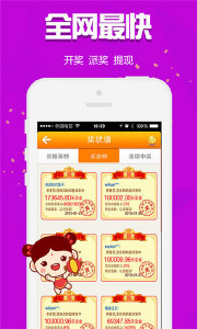 王中王解平特一肖，深度解析與探索，王中王解平特一肖，深度剖析與探索