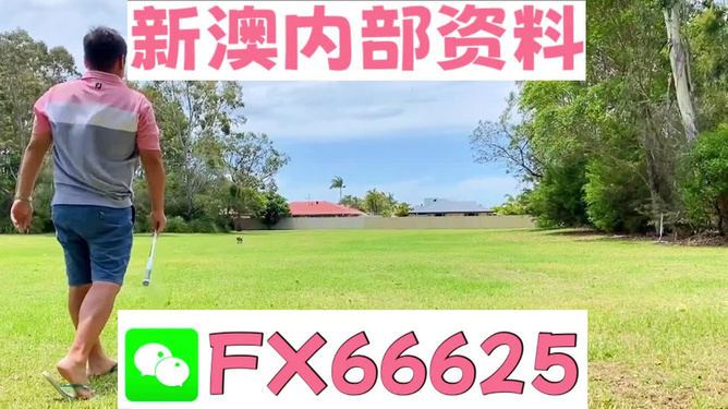 王中王肖四不像肖一肖特，深度解析與探索，王中王肖四不像肖一肖特，深度剖析與探索