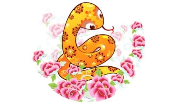 揭秘生肖奧秘，精準(zhǔn)解析生肖運(yùn)勢(shì)，免費(fèi)分享7777788888背后的秘密，揭秘生肖奧秘與運(yùn)勢(shì)解析，揭秘?cái)?shù)字背后的秘密