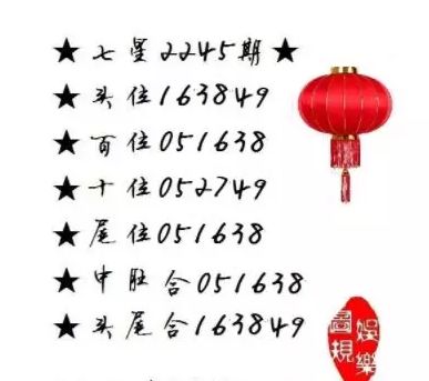 王中王一肖尾數(shù)資料，深度解析與SEO優(yōu)化文章，王中王一肖尾數(shù)資料深度解析與SEO優(yōu)化策略探討
