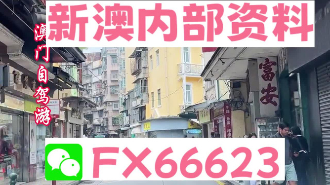 新澳精準資料免費提供221期，探索前沿信息，助力成功之路，新澳精準資料探索前沿信息助力成功之路第221期免費分享開啟