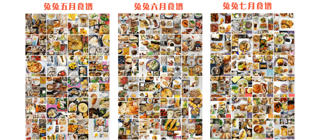 王中王343期指一生肖，深度解讀與SEO優(yōu)化策略，王中王343期生肖深度解讀與SEO優(yōu)化策略全解析