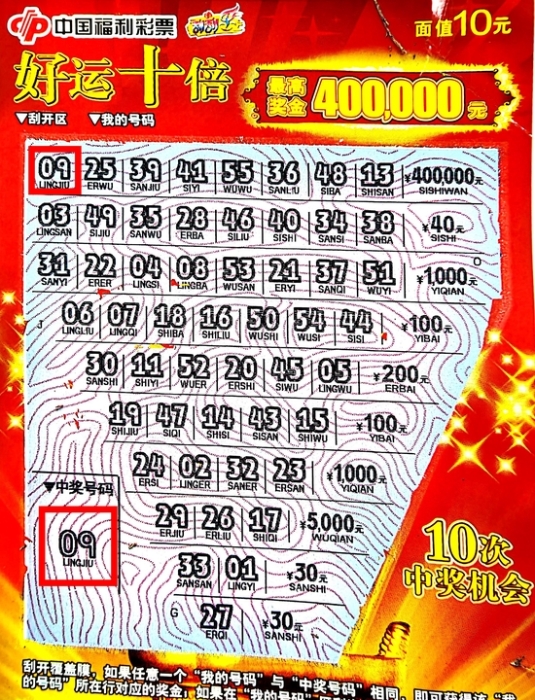 平特一肖買100中多少？揭秘彩票背后的秘密，揭秘彩票背后的秘密，平特一肖買100中獎概率解析
