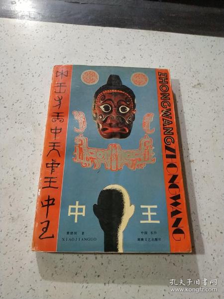 王中王資料與肖中特，深度解析，王中王資料與肖中特深度剖析