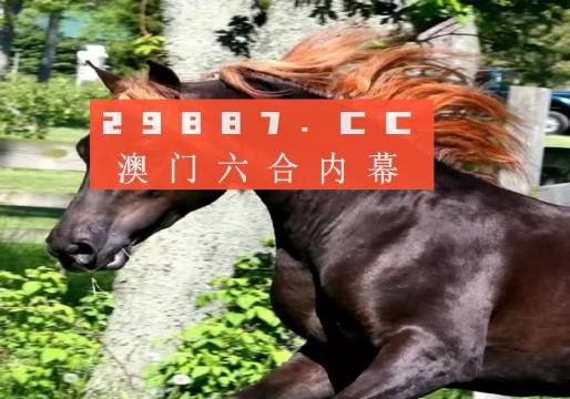 澳門夜明珠八百圖庫開獎最快——探索澳門夜明珠的魅力與最新開獎信息，澳門夜明珠的魅力與最新開獎速遞，八百圖庫開獎信息一覽